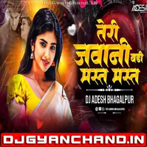 Teri Jawani Badi Mast Mast Hai Party Club Mix Hindi Song - Dj Aadesh Bhagalpur Teri Jawani Badi Mast Mast Hai Party Club Mix Hindi Song - Dj Aadesh Bhagalpur